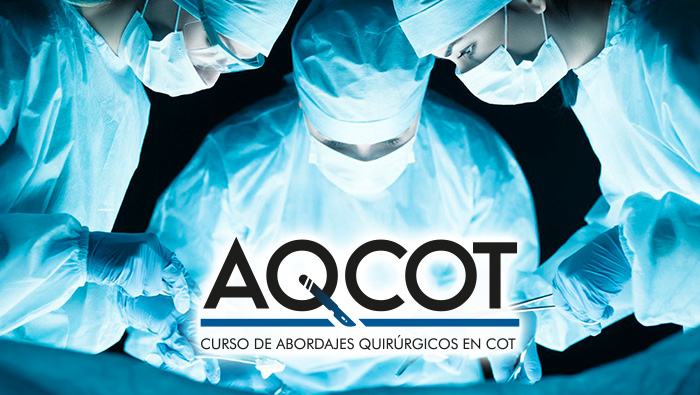 CURSOS AQCOT - Consolidando la formación en COT